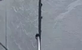 1772076000198001.jpg 640 (18).jpg